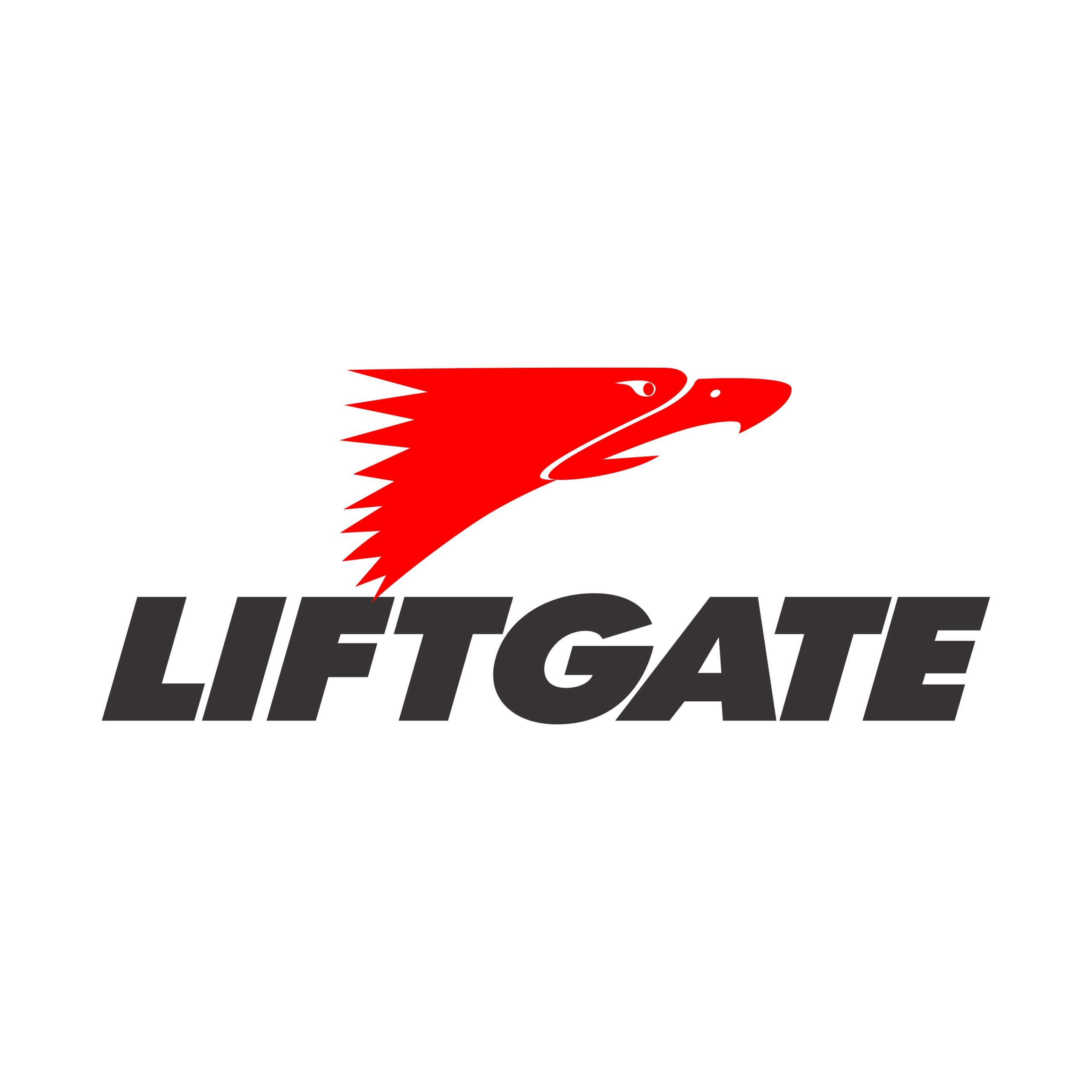 Inicio liftgate